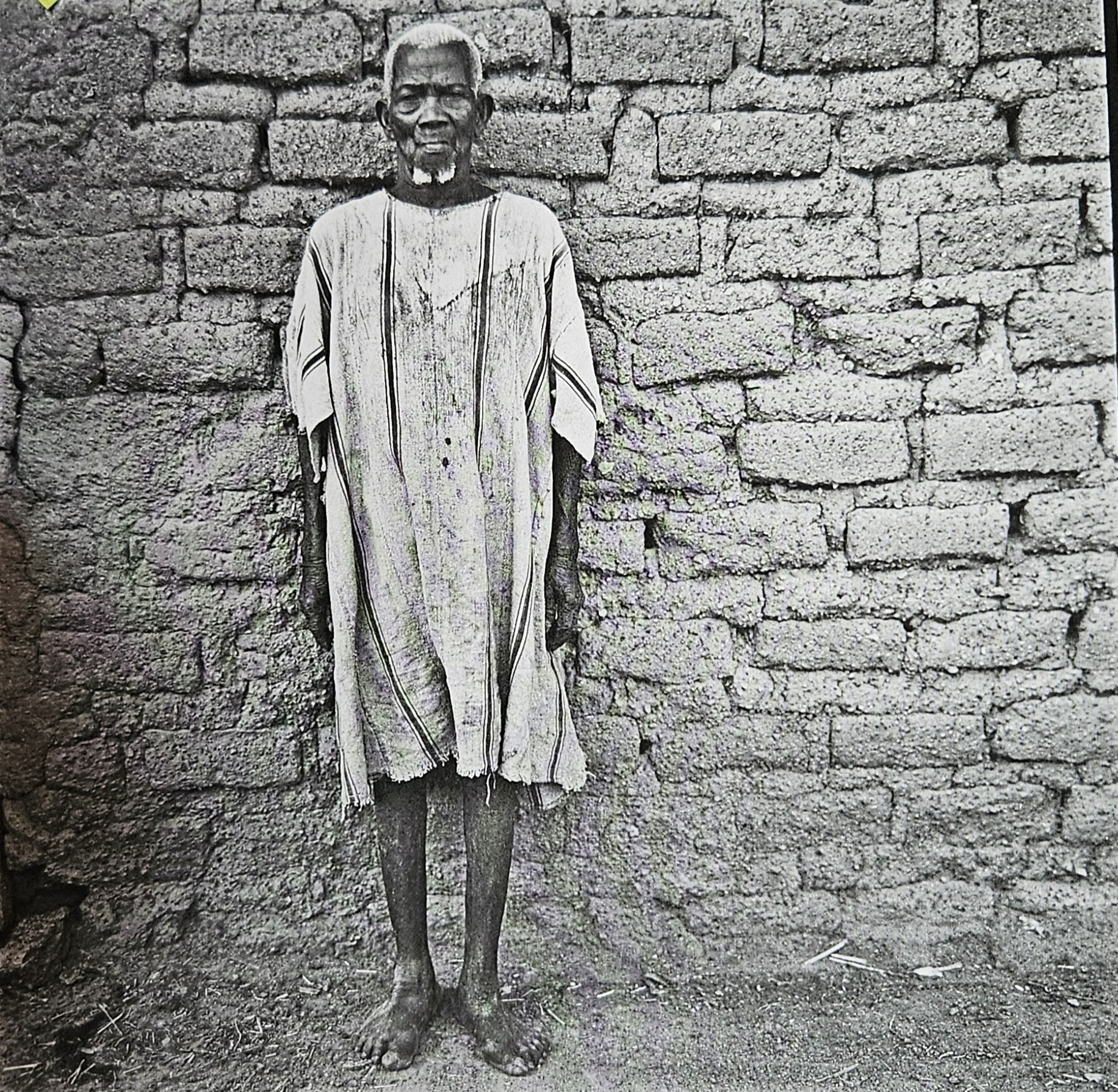 Portrait de Ledio KOYANA